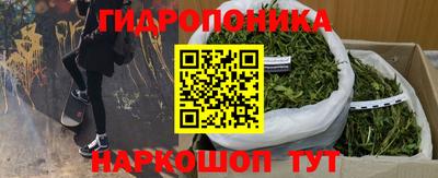 дживик Аргун