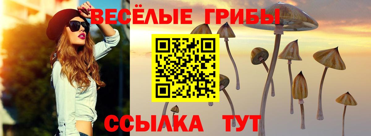 Псилоцибиновые грибы Cubensis  Вход с VPN  Псилоцибиновые грибы MAGIC MUSHROOMS  Волжск 
